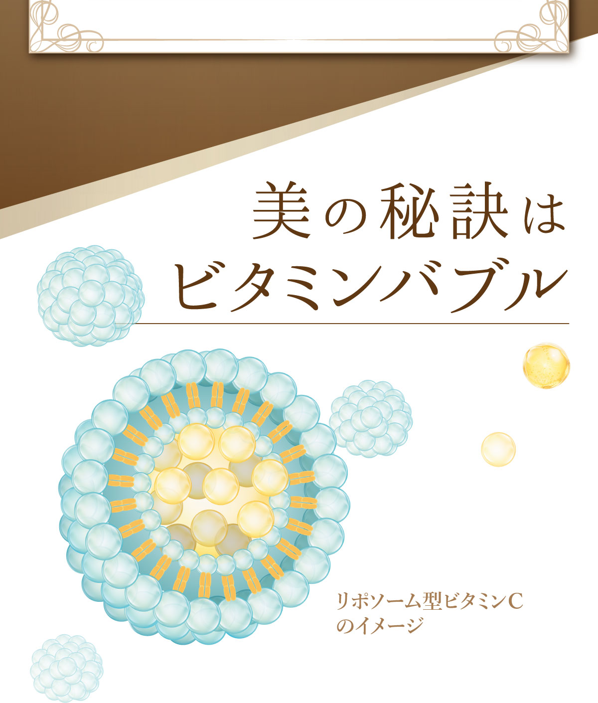 美の秘訣はビタミンバブル。リポソーム型ビタミンCのイメージ